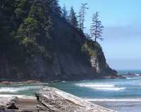Oregon Coast Oswald West