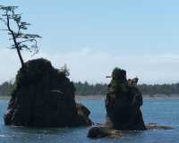 Oregon Coast Wheeler Bay