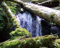 Munson Falls Oregon