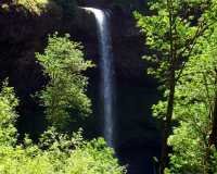 Silver Falls Silverton Oregon